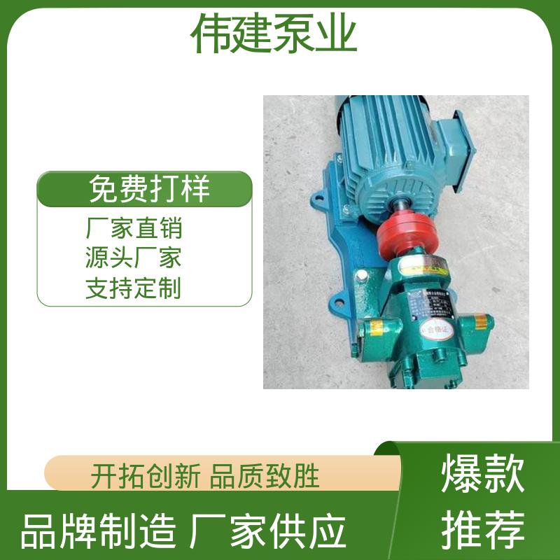 伟建生产 低噪音 电动齿轮泵 规格齐全 煤焦油稠油用
