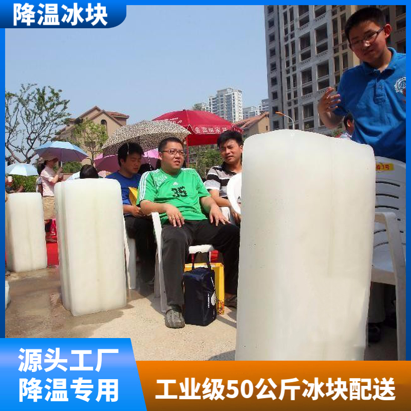易优冷 水产螃蟹养殖 大冰块 适配工业场景 蔬菜水果配送专用