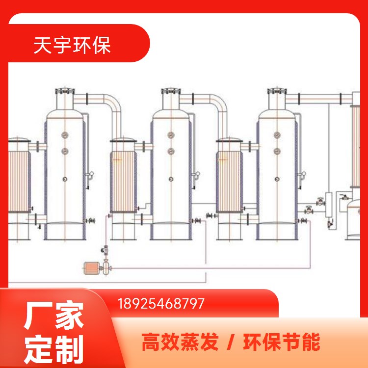 双效节能蒸发浓缩器 支持定制 生产厂家 天宇环保