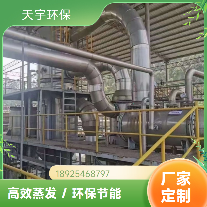 蒸发母液干化设备 电渗析脱盐用 稳定可靠 化工废水处理系统 天宇环保