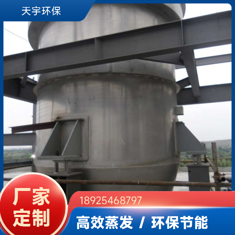 天宇环保 杂盐母液干燥装置 化工废水处理系统 制药行业用 规格可选