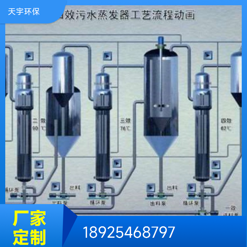钾钠分盐设备 多效蒸发结晶 占地面积小 垃圾焚烧飞灰行业用 天宇环保