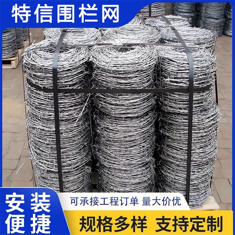特信围栏 刺铁丝隔离网 质量优选 高铁刺丝滚笼