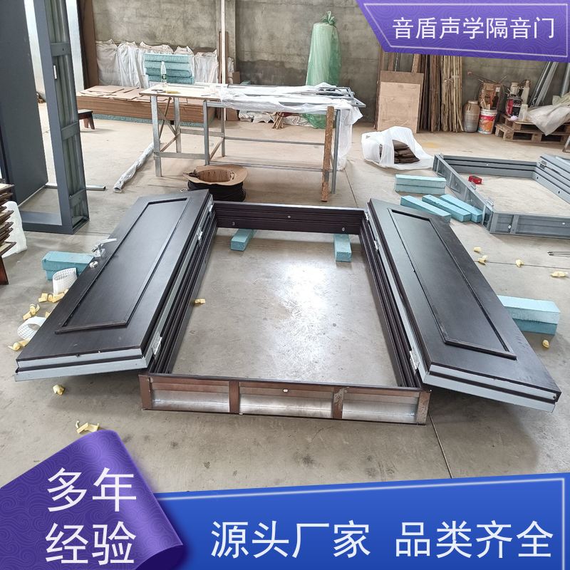 音盾科技 卧室 防火隔声门 品质保证 大型定制工厂