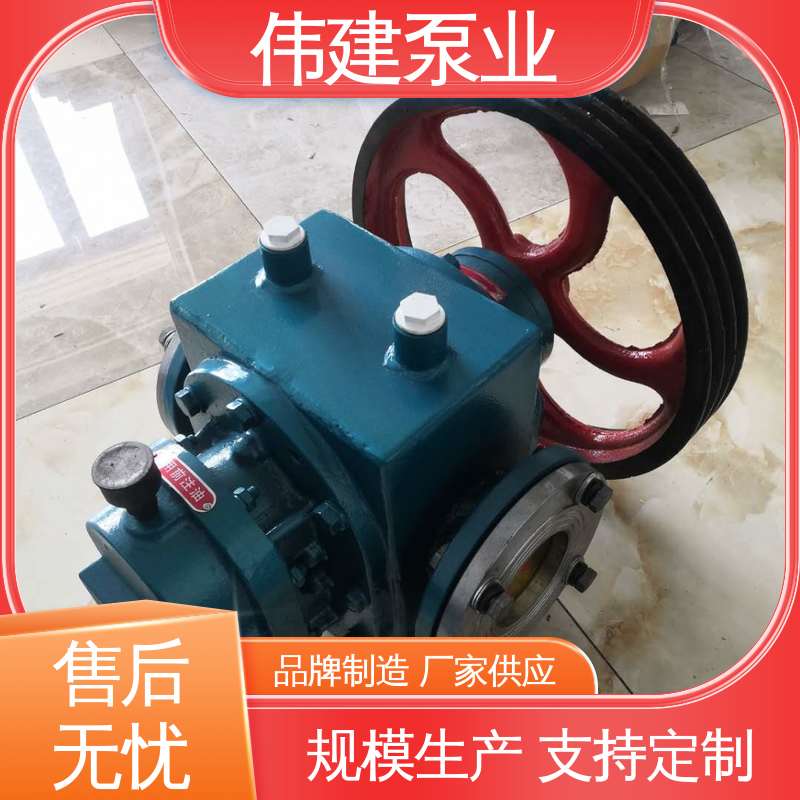 伟建供应 罗茨油泵 大流量 润滑油脂沥青输送 规格齐全