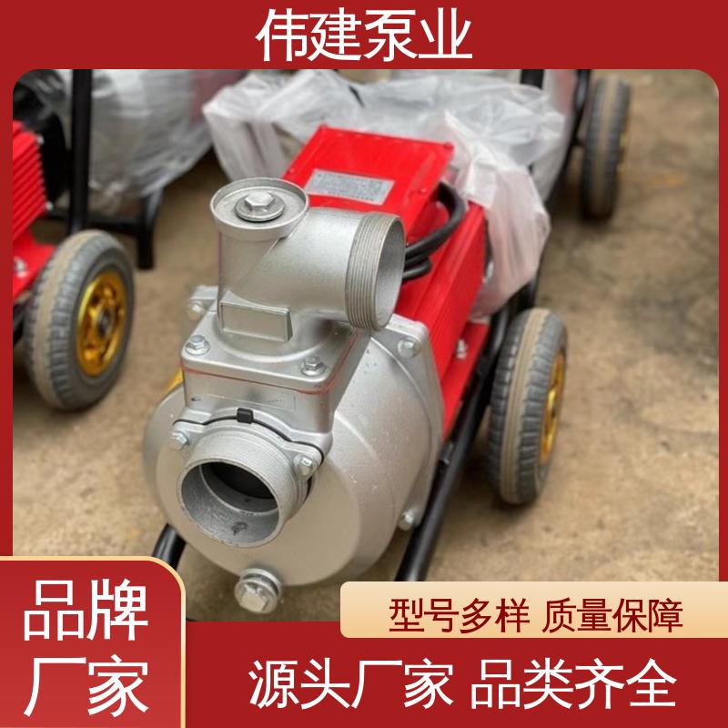 糖蜜糖浆卸车用 LCX罗茨泵 耐高温300度 规格齐全 伟建生产