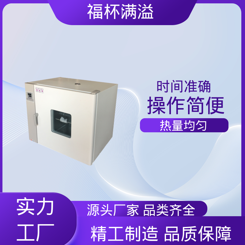电加恒温鼓风干燥箱 实验恒温箱 精准控温 福杯满溢