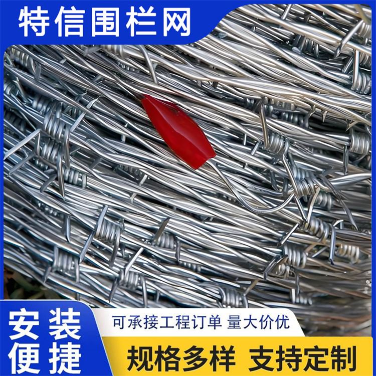特信围栏 铁蒺藜防护网 规格多样 高铁刺丝滚笼