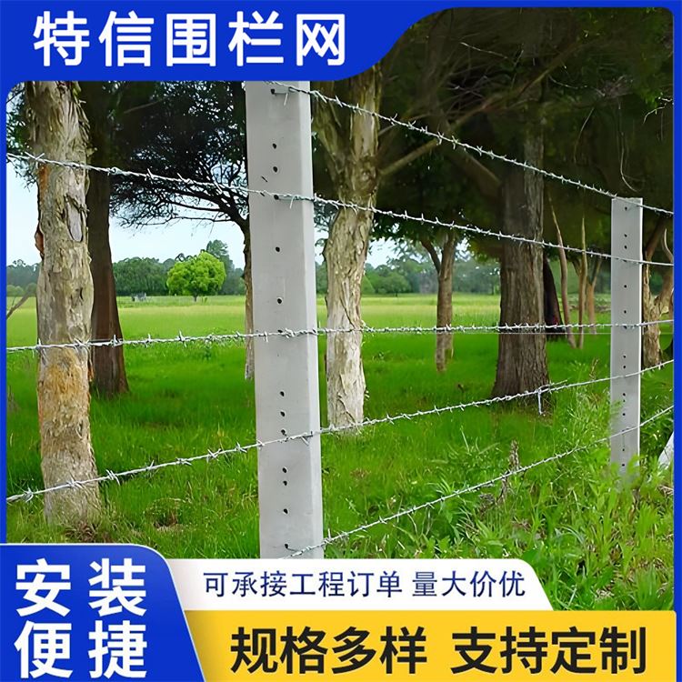 特信围栏 刺铁丝隔离栅 质量可靠 高铁刺丝滚笼