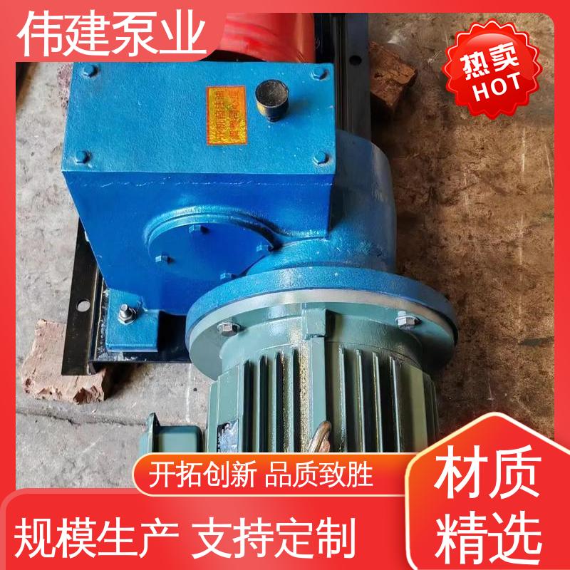 伟建生产 316L材质 性能稳定 加温保温高温隔套泵 润滑油输送用