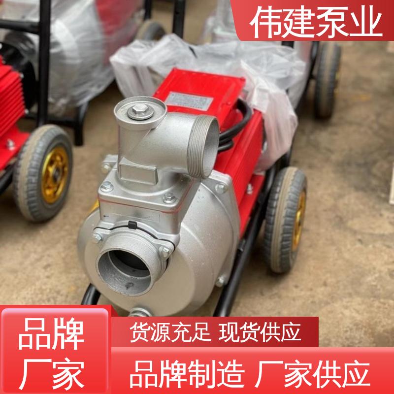 伟建生产 耐酸碱耐腐蚀 高粘度罗茨泵 支持定制 橡胶树脂输送用