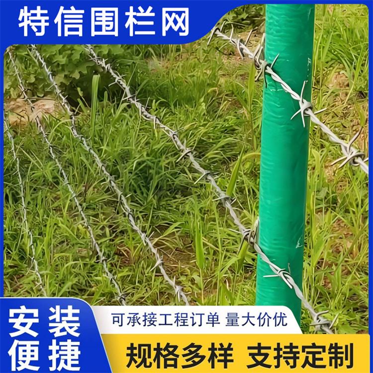 特信围栏 高铁刺丝滚笼 刺铁丝隔离栅 可按需定制