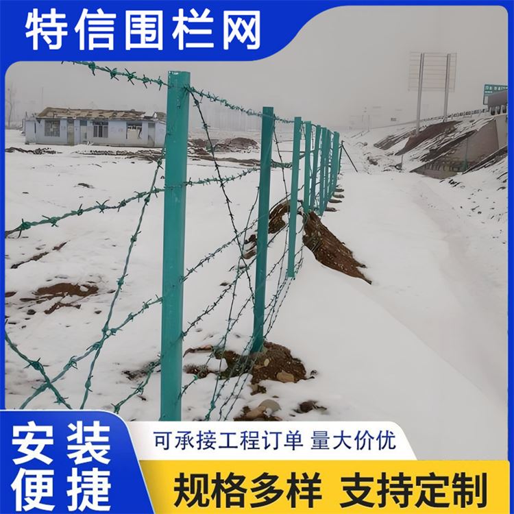 特信围栏 高铁刺丝滚笼 防盗带刺铁丝网 选材优质