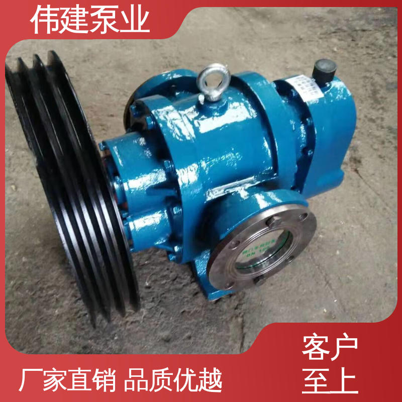 耐酸碱耐腐蚀 化工产品输送用 规格齐全 LC减速机罗茨泵 伟建供应
