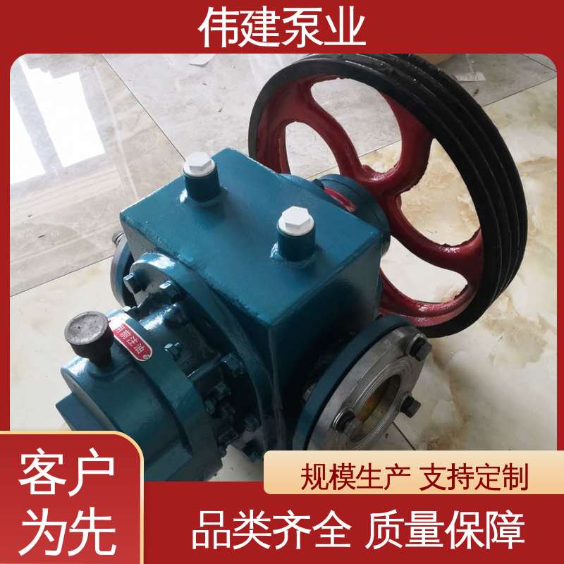 橡胶树脂输送用 高粘度泵 支持定制 噪音小体积小 伟建生产