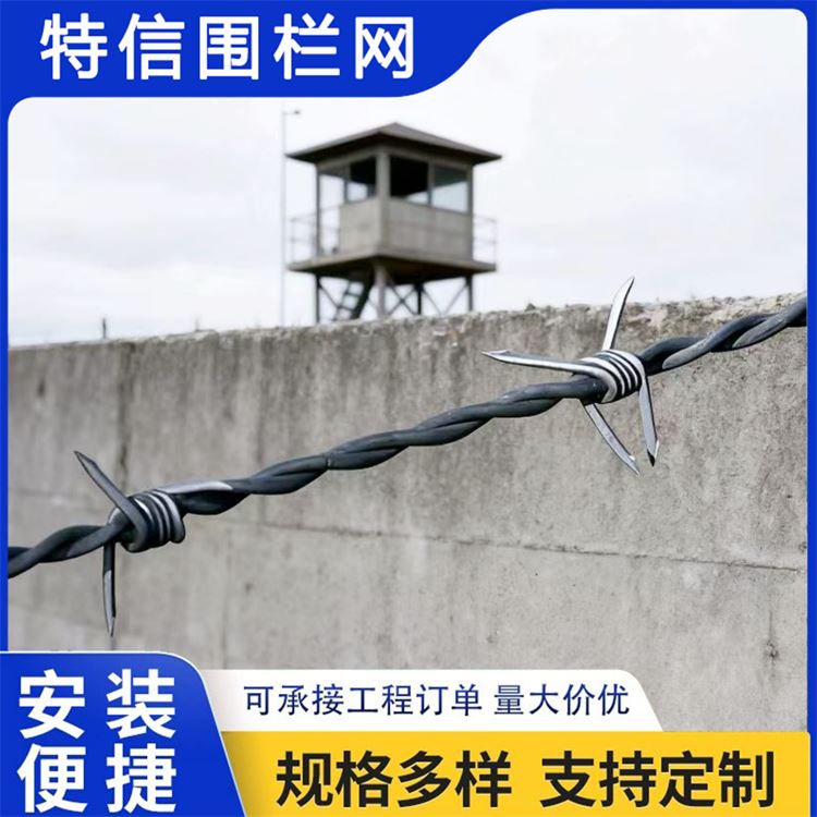 特信围栏 高铁刺丝滚笼 刺铁丝隔离栅 品质致胜