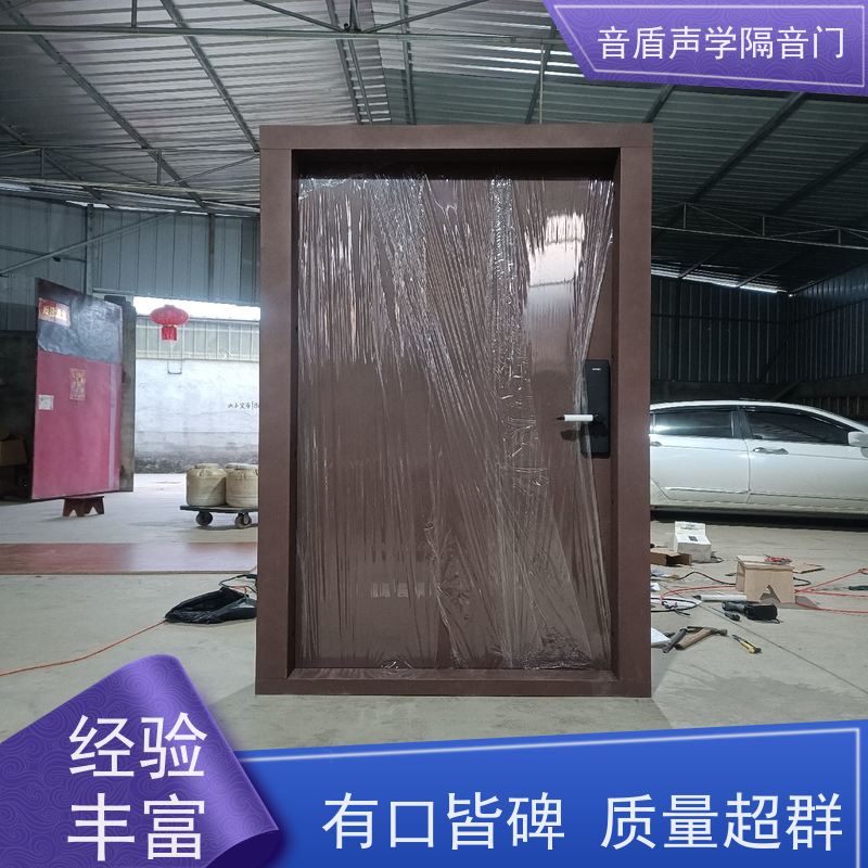 音盾科技 家庭影院 静音门 品质保证 大型定制工厂