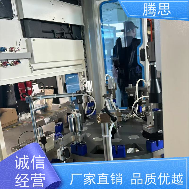 腾思 自动检测产品各种不良尺寸 实地工厂 按需定制
