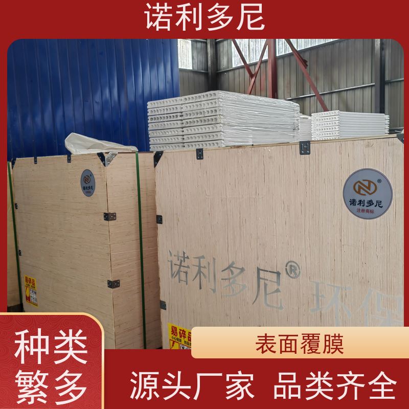 诺利多尼 进口原料 塑烧板滤芯 水蒸气处理设备 上门培训