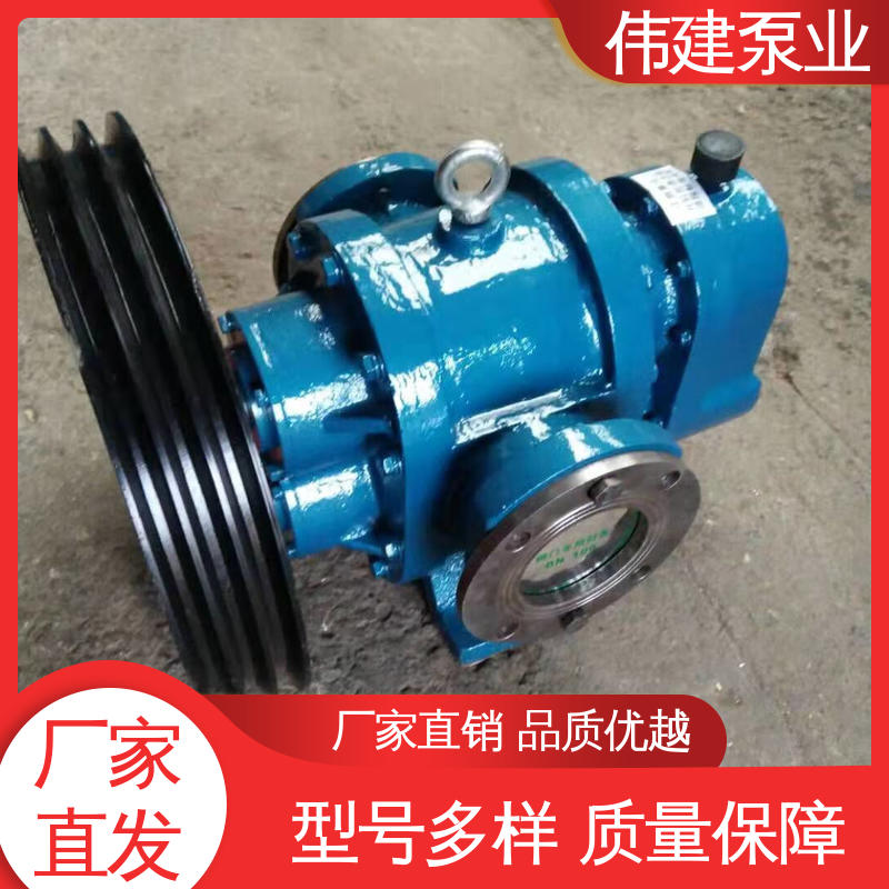 伟建生产 粘度物料输送用 运行可靠 罗茨油泵 规格齐全
