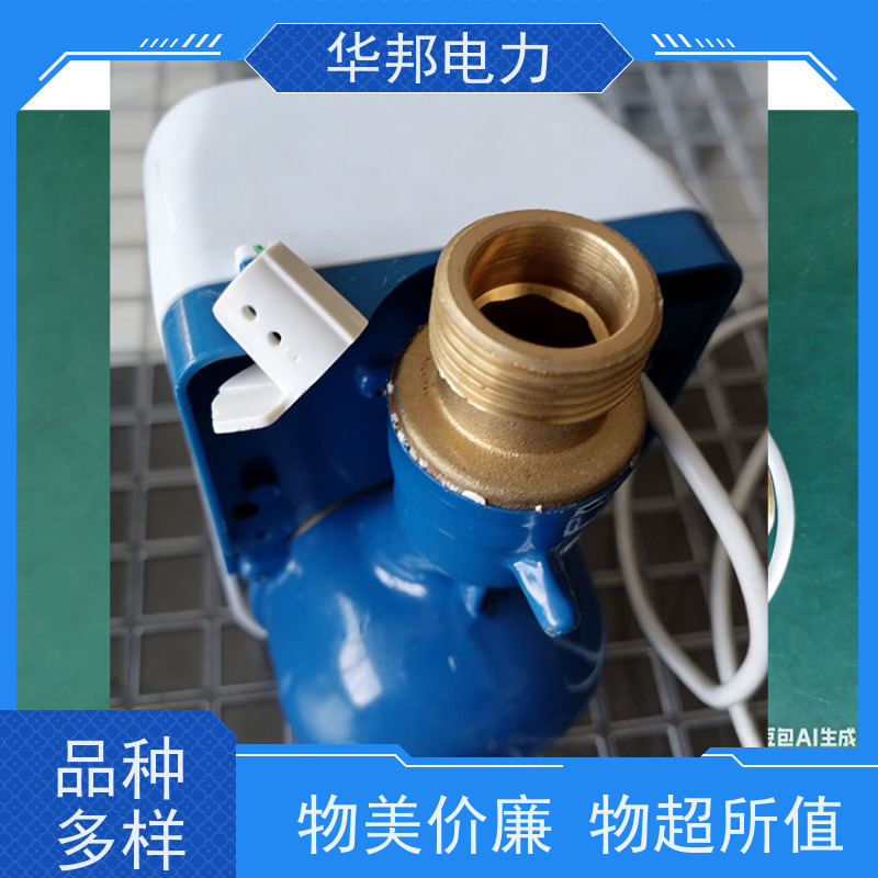 华邦电力科技 有线M-BUS通讯协议 DN40水表 生产公司