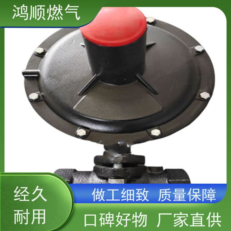 鸿顺 厂家 燃气调压阀 结构紧凑占地小 规格齐全