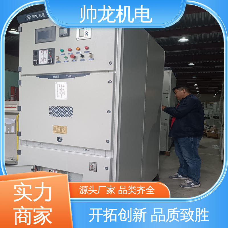 帅龙 水泥厂/泵站 一体化软起动柜 经济实惠 售后完善
