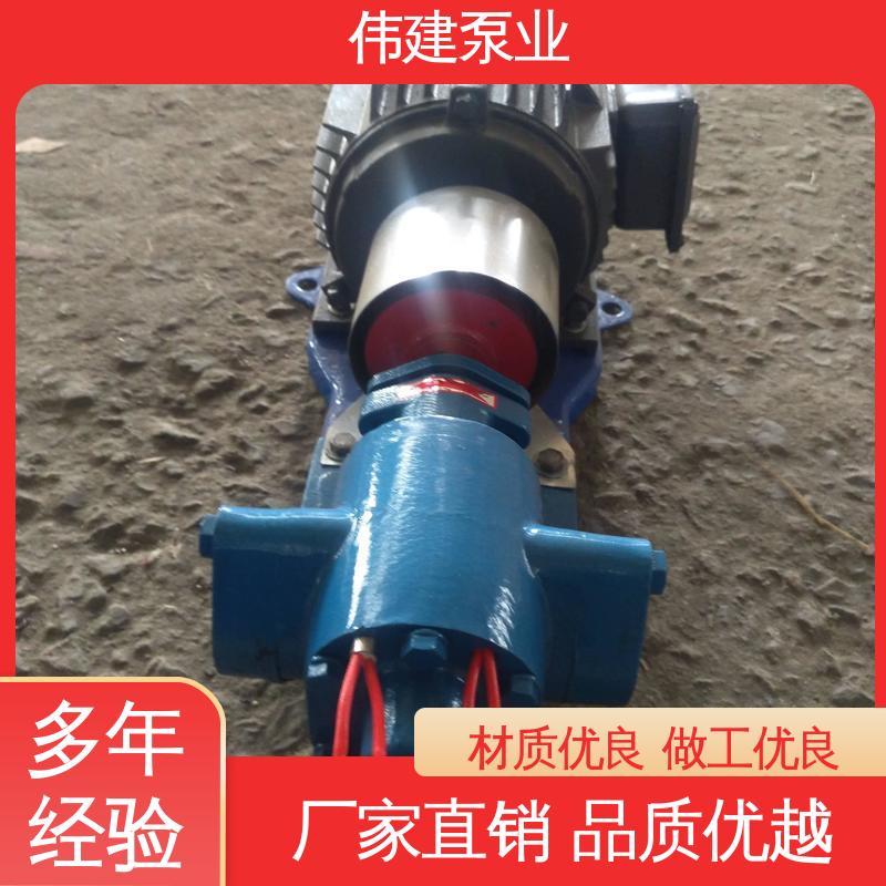 伟建供应 容积式转轮泵 耐酸碱腐蚀 多种形式安装 液压油船用