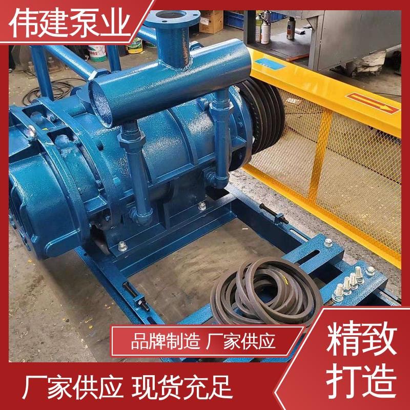 伟建供应 罗茨油泵 运行可靠 支持定制 粘度物料输送用