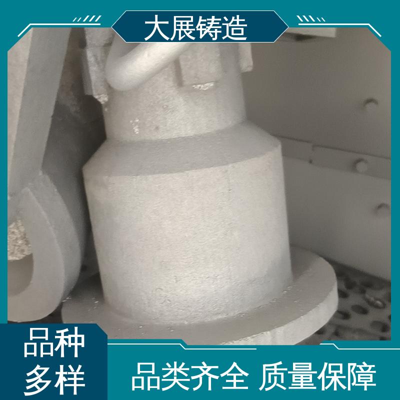 异形铸件 固定座 侧轮座 开模加工 QT500 大展生产