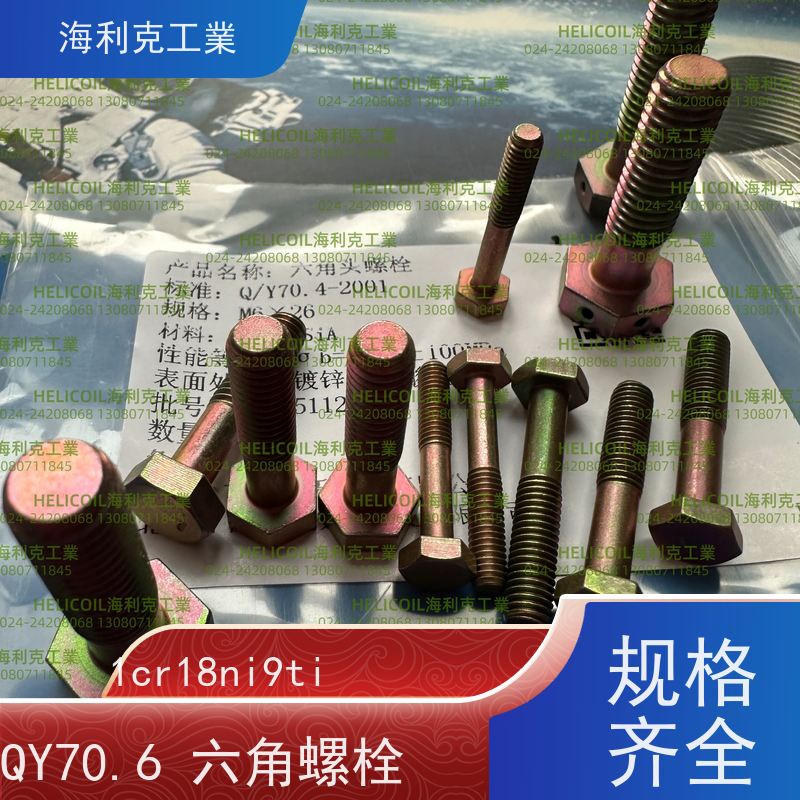 海利克工業 QY70.6-2001 六角头螺栓 2B11 M3M10