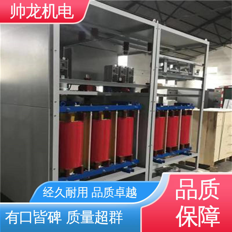 帅龙 10kv高压 电容补偿柜 厂家直供 可定制 应用广泛 资质齐全