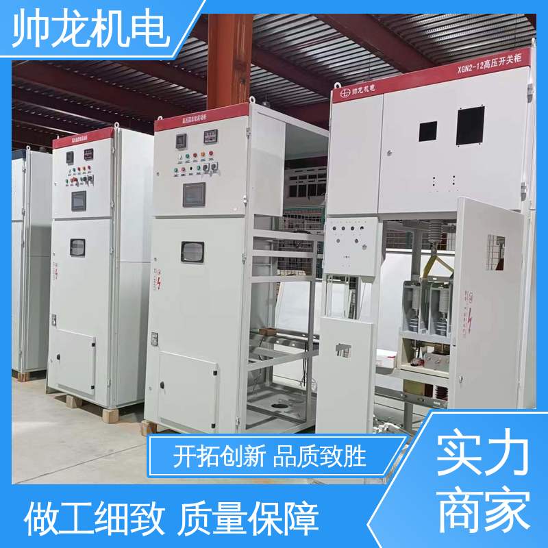 湖 北帅龙 配电室专用 工艺精湛 提供技术服务 环网柜 运行稳定 平稳可控