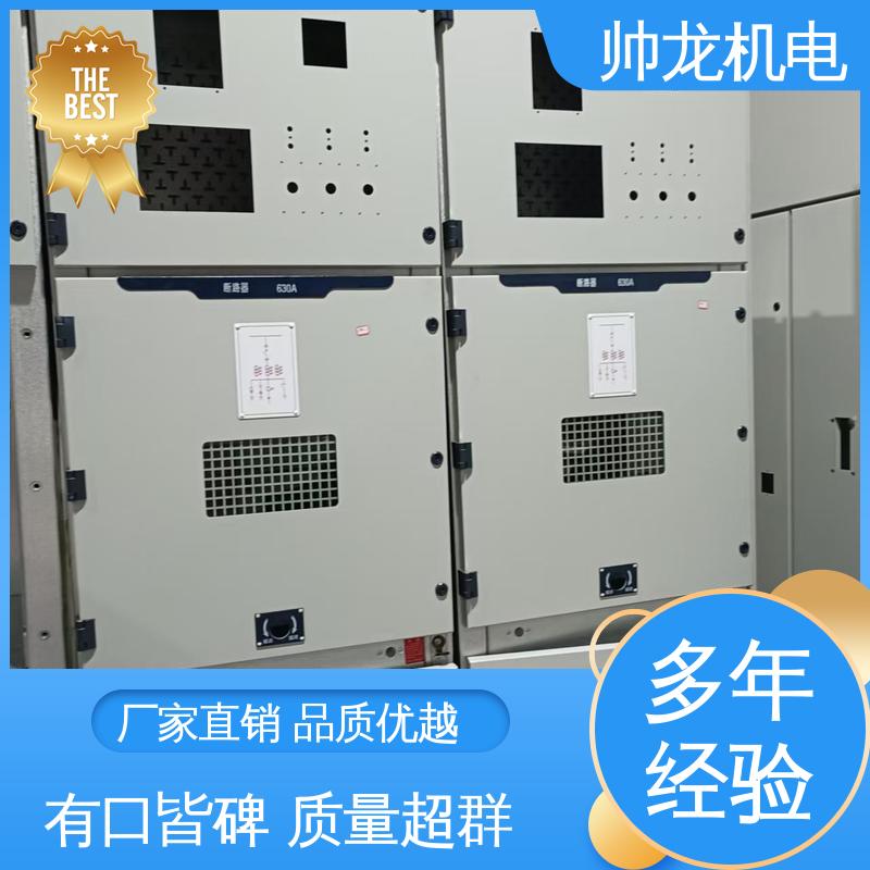 帅龙机电 高压 现货直发 库存充足 反应迅速 高效稳定 出线柜