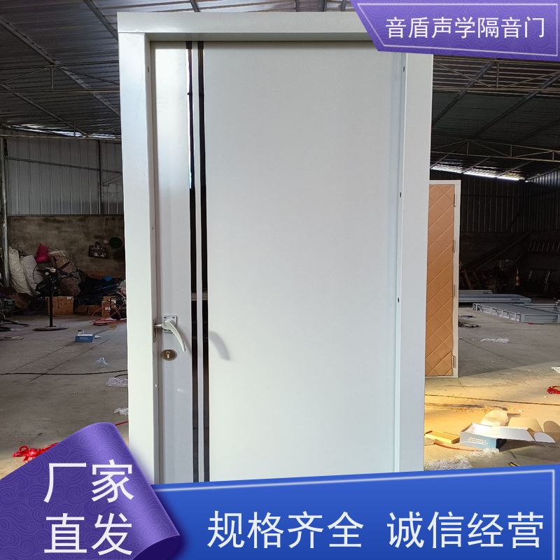 音盾声学 培训室 防火隔音门 品质保证 工厂批发