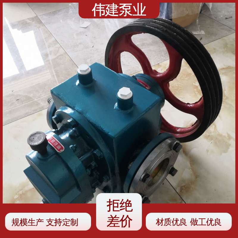 伟建供应 罗茨油泵 大流量 粘度物料输送用 规格齐全