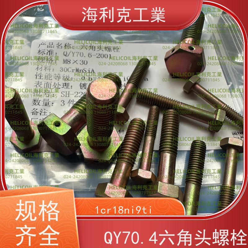 海利克工業 QY70.6-2001 六角头螺栓 1Cr18Ni9Ti M3M10