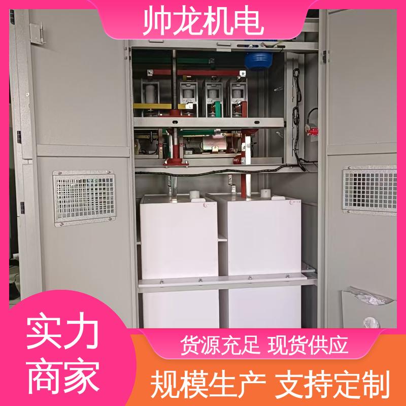 帅龙 笼型/鼠笼电机 现货直发 库存充足 水阻起动柜 耐磨耐用 启动平滑