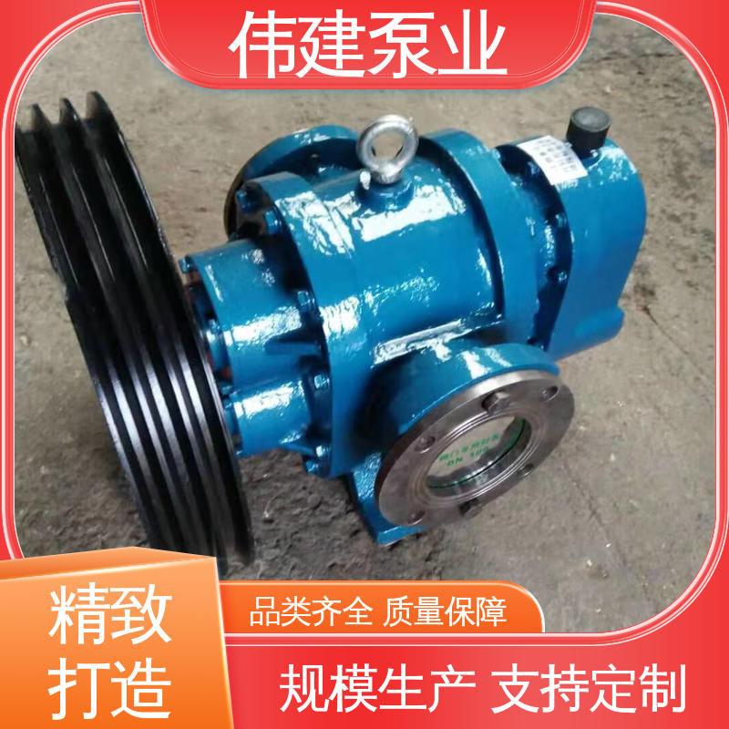 涂料油漆输送用 规格齐全 LC高粘度罗茨泵 伟建生产