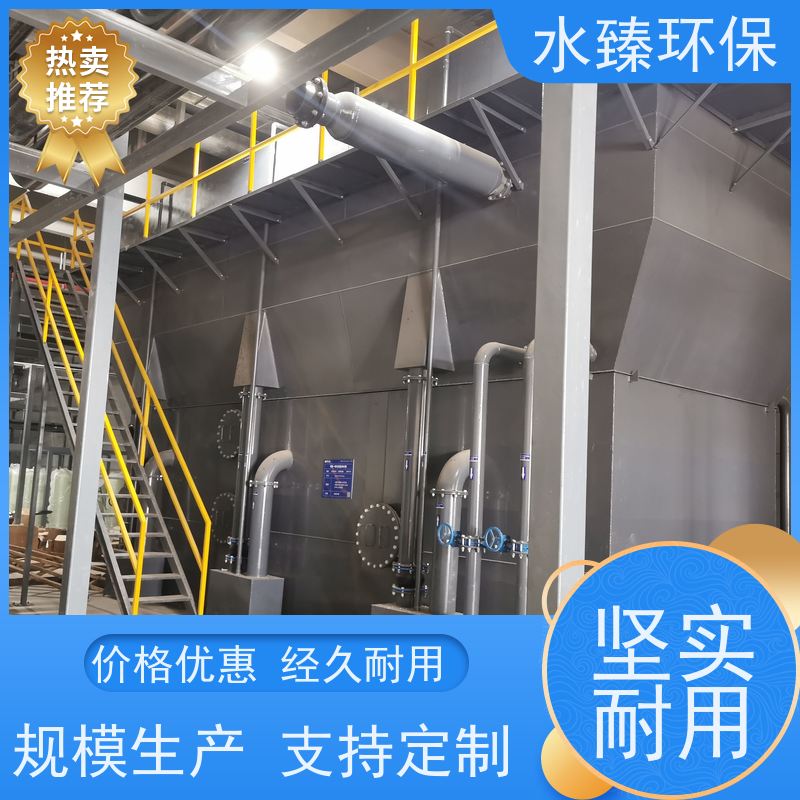 水臻环保 抛光混床设备 食品油厂纯水 模块化 运营成本低