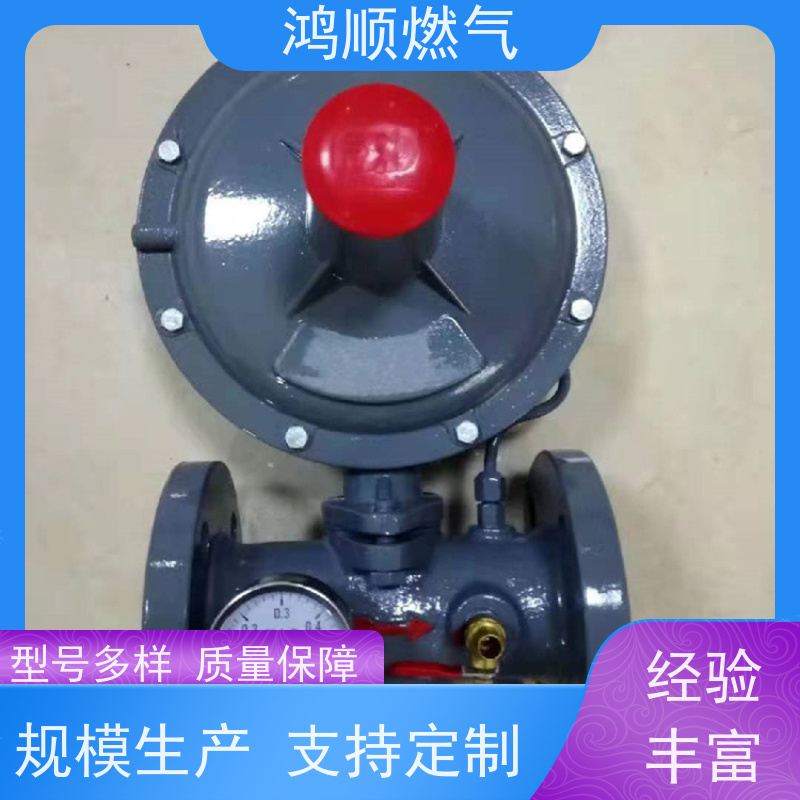 鸿顺 厂家 液化气调压阀稳压器 系统简单方便灵活 按需定制
