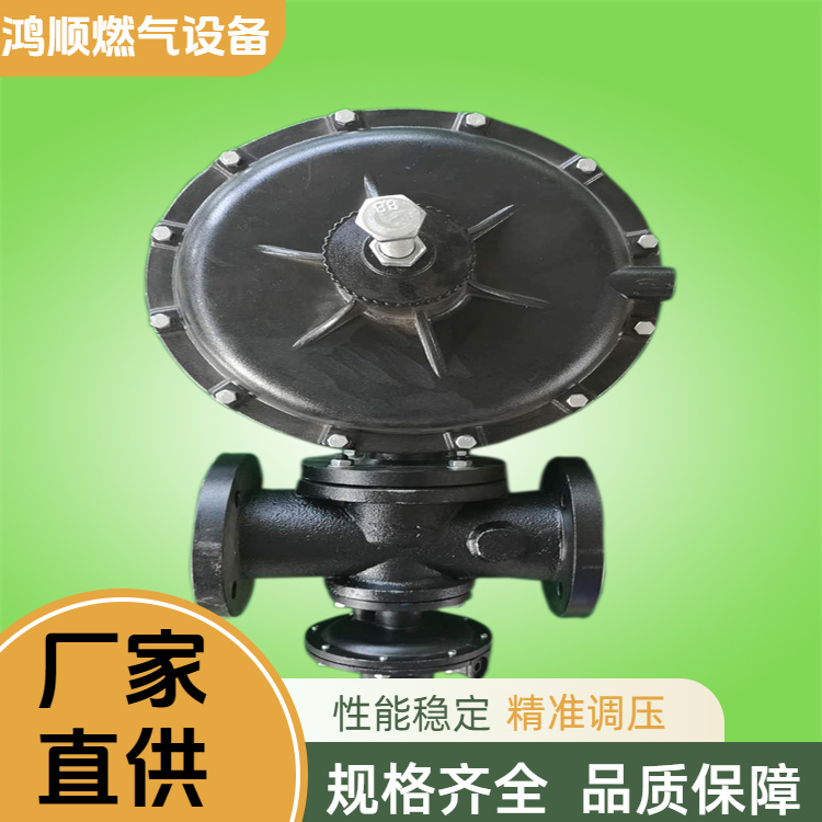 鸿顺 厂家 F型燃气调压器 系统简单方便灵活 规格齐全
