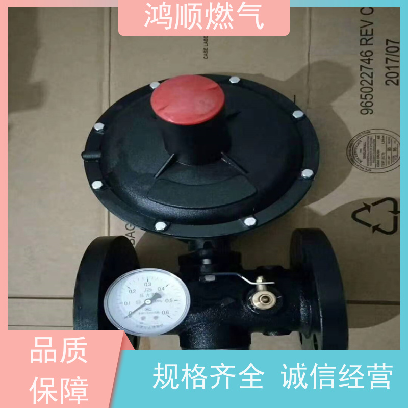鸿顺 厂家供应 工业燃气调压器 占地小安装方便 按需定制