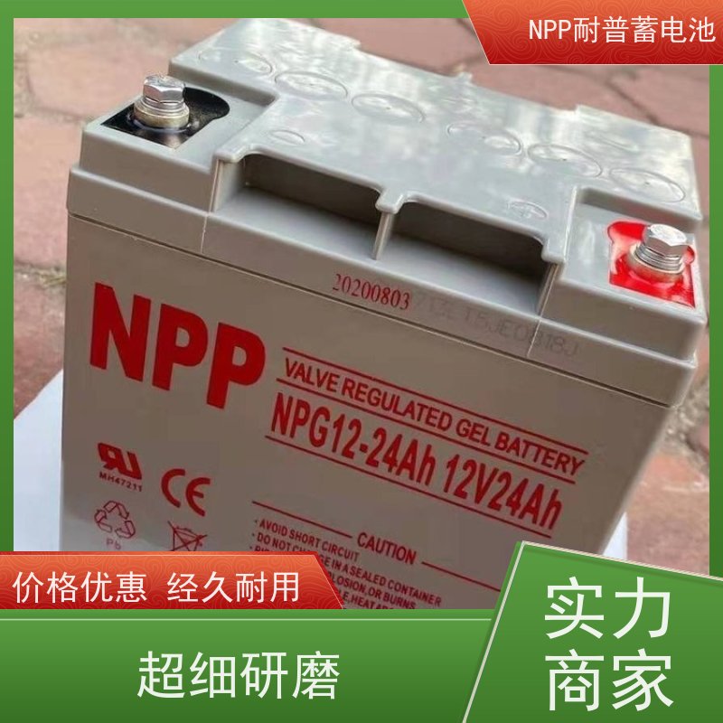 UPS电源电池 NPG12-250 适用光伏通信消防 质保三年