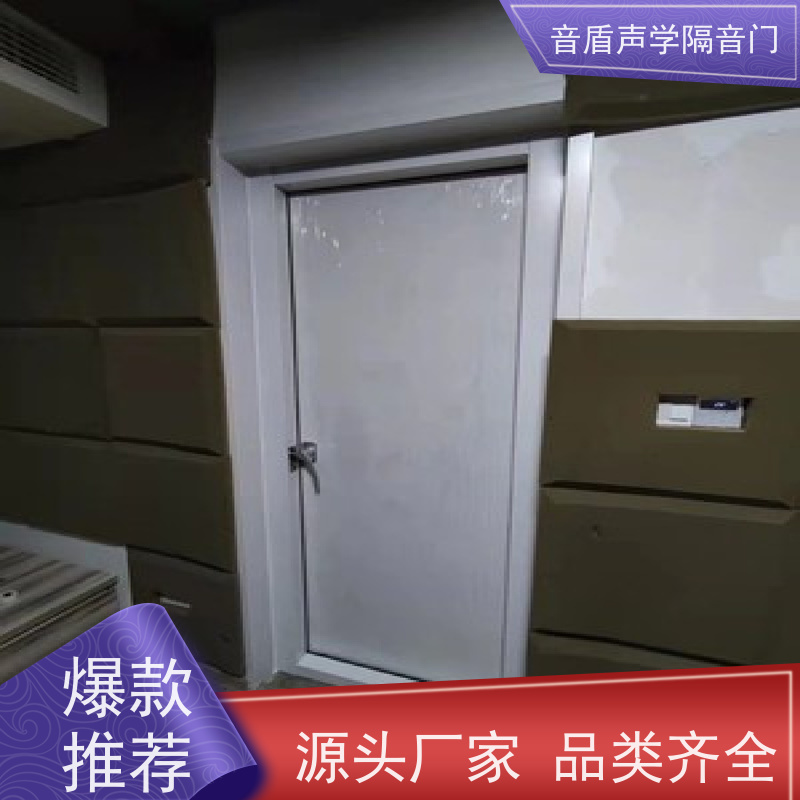 音盾科技 房间 防火隔音门 值得信赖 大型定制工厂