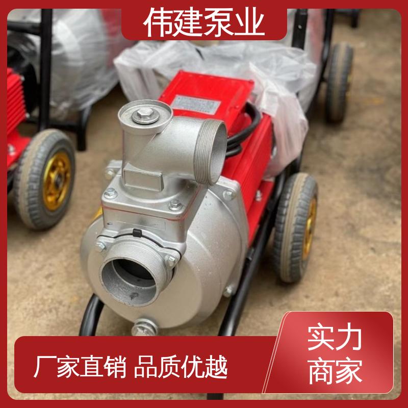 伟建供应 支持定制 橡胶树脂输送用 噪音小体积小 LC高粘度罗茨泵