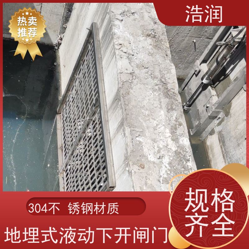 浩润 液动下开闸门 运行平稳 做工精细 性价比高