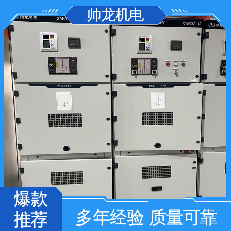 帅龙 固态软起动柜 厂家直供 质量保障 资质齐全 高效稳定