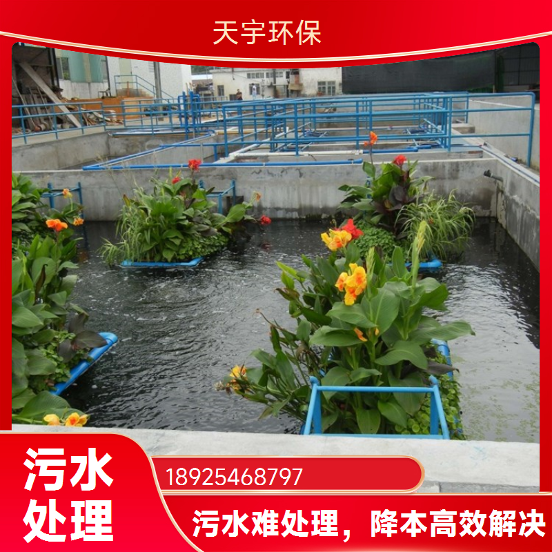 天宇工业废水处理 精细化工洗涤废水零排放工程