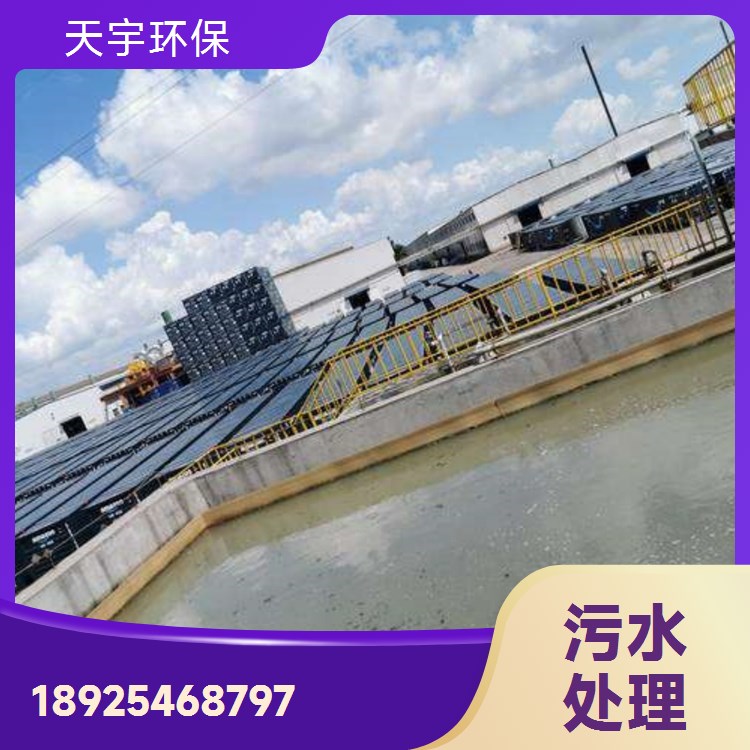 重金属废水处理设备 天宇工业废水处理环保设备 定制